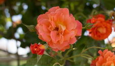 メインイメージ